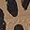 Animal Print