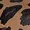 Animal Print
